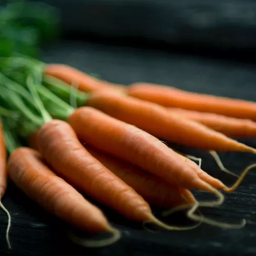 Carrots and leek soup, with hemp seeds and miso Himanthalia seeweed