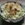 Erbe aromatiche miste