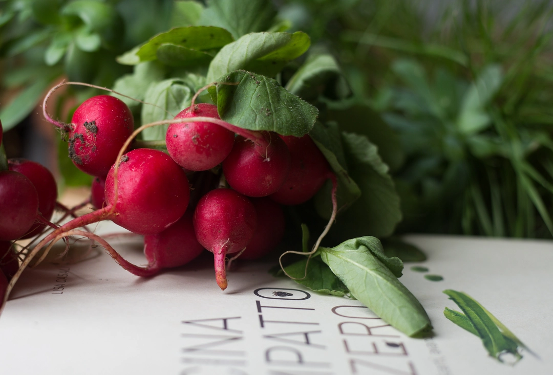 Recipe: Radish leaves risotto