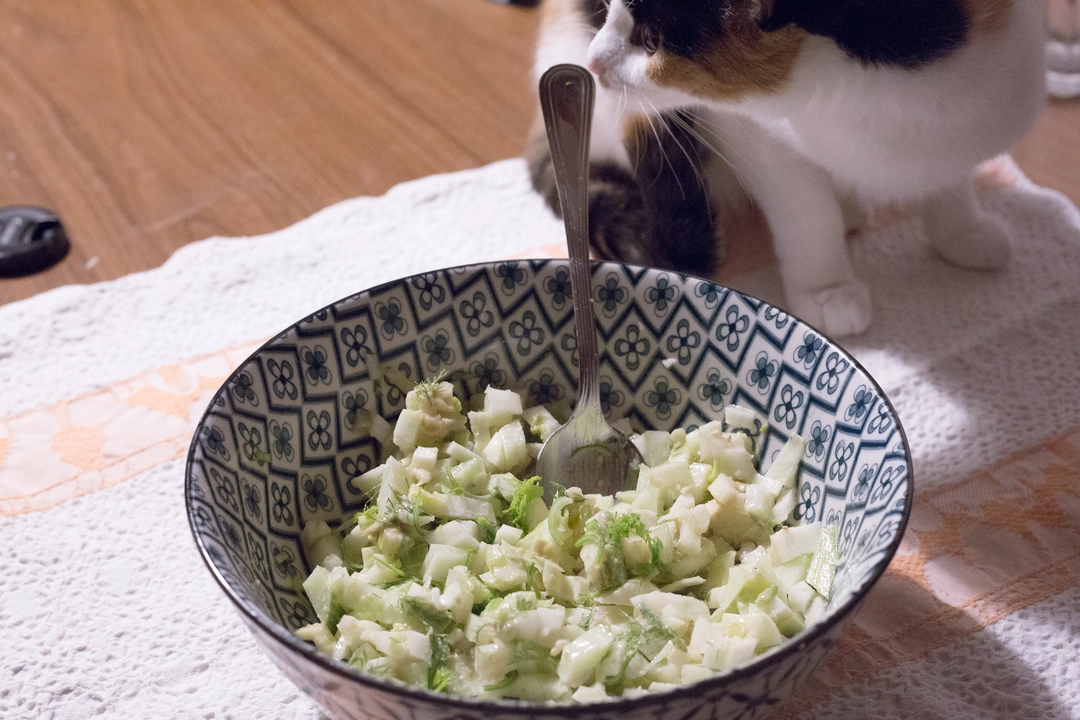 Recipe: Delicious fennel salad