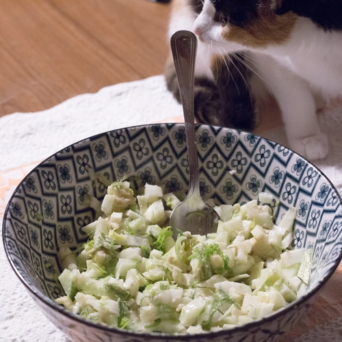 Insalata saporita di finocchi