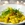 Short pasta