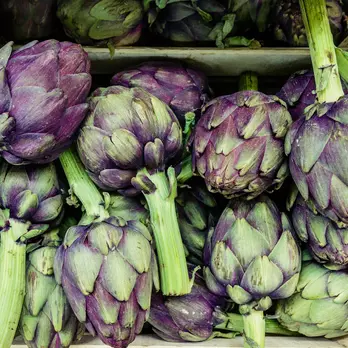 Immagine di Artichokes