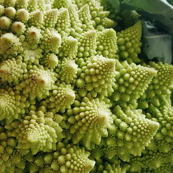 Immagine di Romanesco broccoli