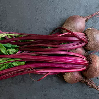 Immagine di Beetroot