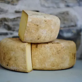 Immagine di Pecorino cheese