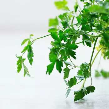 Immagine di Parsley