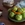 Brussels sprouts