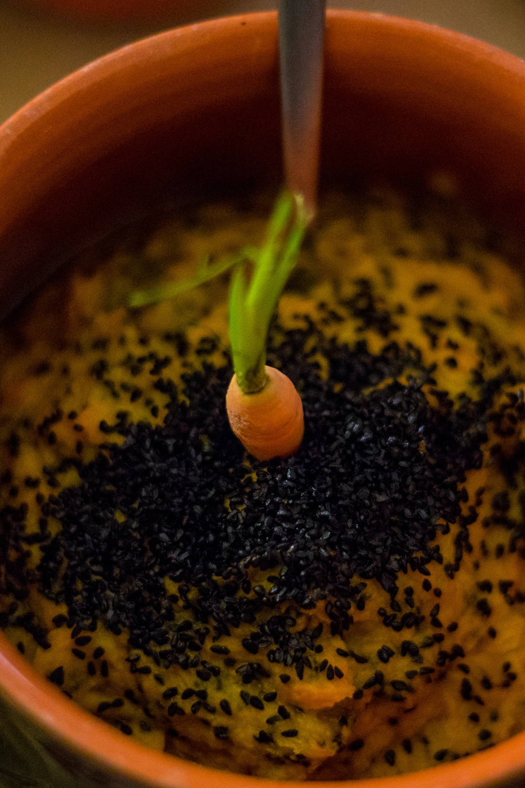 Recipe: Carrot, apple and ginger pesto