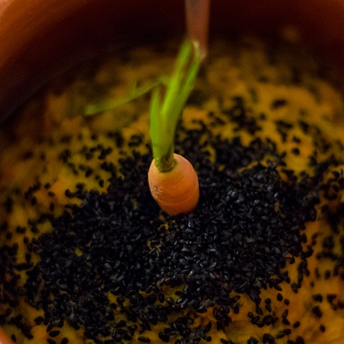 Carrot, apple and ginger pesto