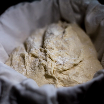 Immagine di Fresh brewer's yeast